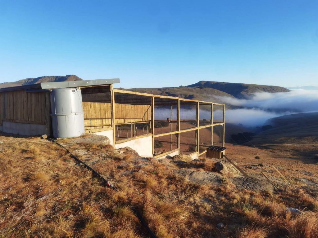 Project Framework – Bred4theWild